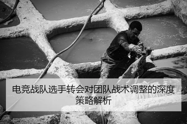 电竞战队选手转会对团队战术调整的深度策略解析
